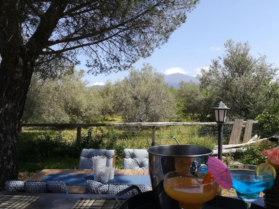 Villa Segreta, Mount Etna Belpasso Eksteriør billede