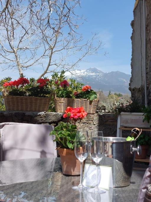 Villa Segreta, Mount Etna Belpasso Eksteriør billede